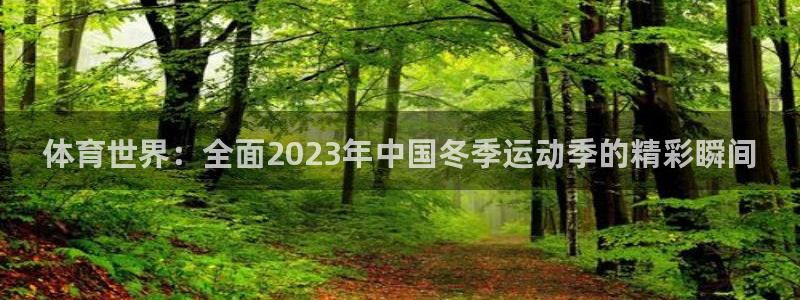 体育世界：全面2023年中国冬季运动季的精彩瞬间