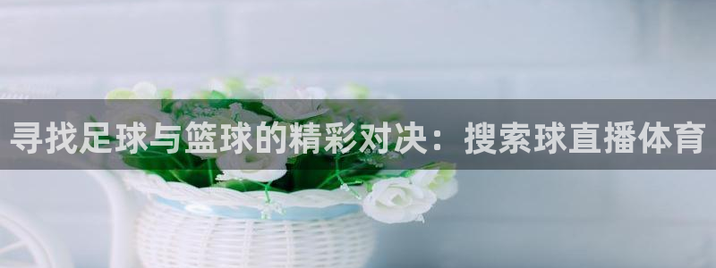 寻找足球与篮球的精彩对决：搜索球直播体育