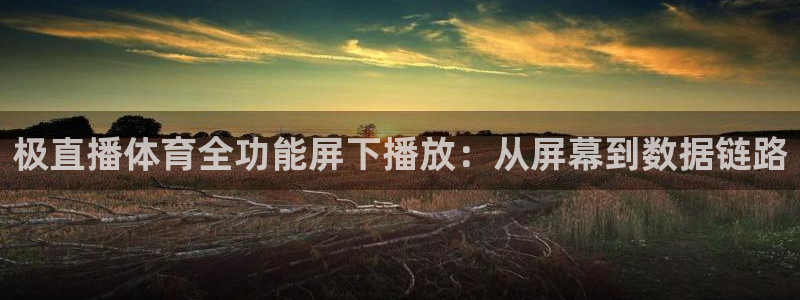 极直播体育全功能屏下播放：从屏幕到数据链路